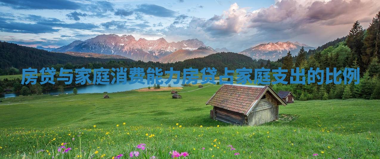 房贷与家庭消费能力 房贷占家庭支出的比例
