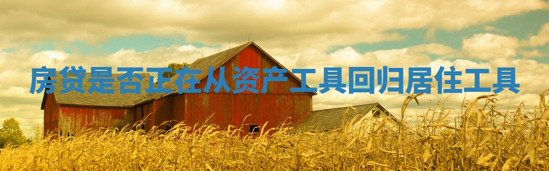 房贷是否正在从资产工具回归居住工具 